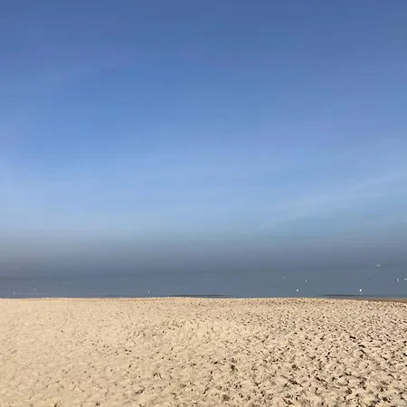 Argo * Gdańsk